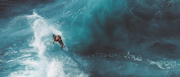 Never Established. Always Evolving.