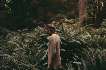 Fall 15 Part II