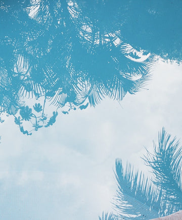 Postcards From Paradise // Winner Luisa Salas